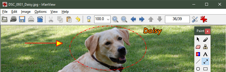 90s aplikacije na Windows desktopu